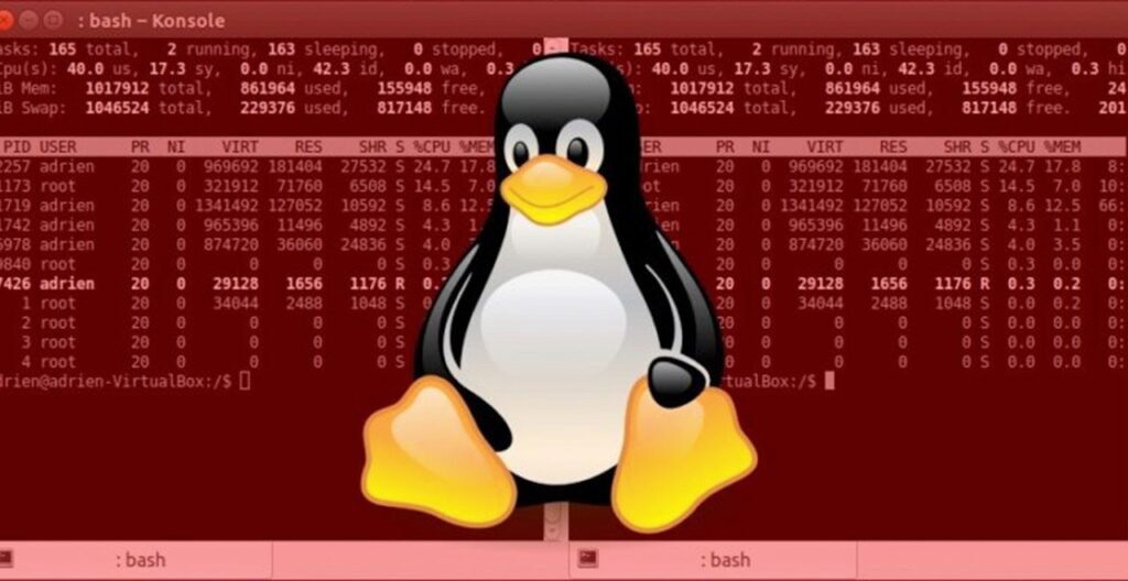 Linux Pinguin logo